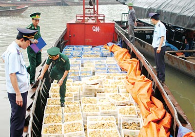 Border police uncover a boat carrying illicit poultry into Vietnam via Mong Cai Border Gate in Quang Ninh Province. (Photo: SGGP)